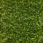 Artifical Grass Texture
