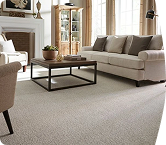 High Quality Material Carpet