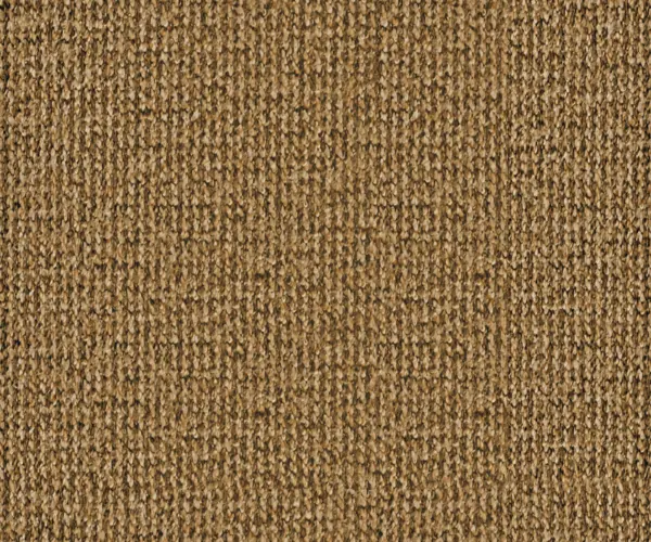 Loop Pile Wall to wall carpet