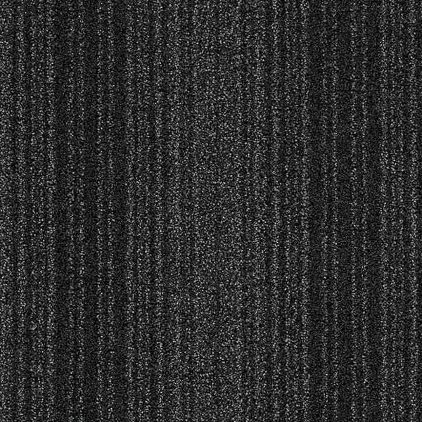 Nylon Wall to wall carpet
