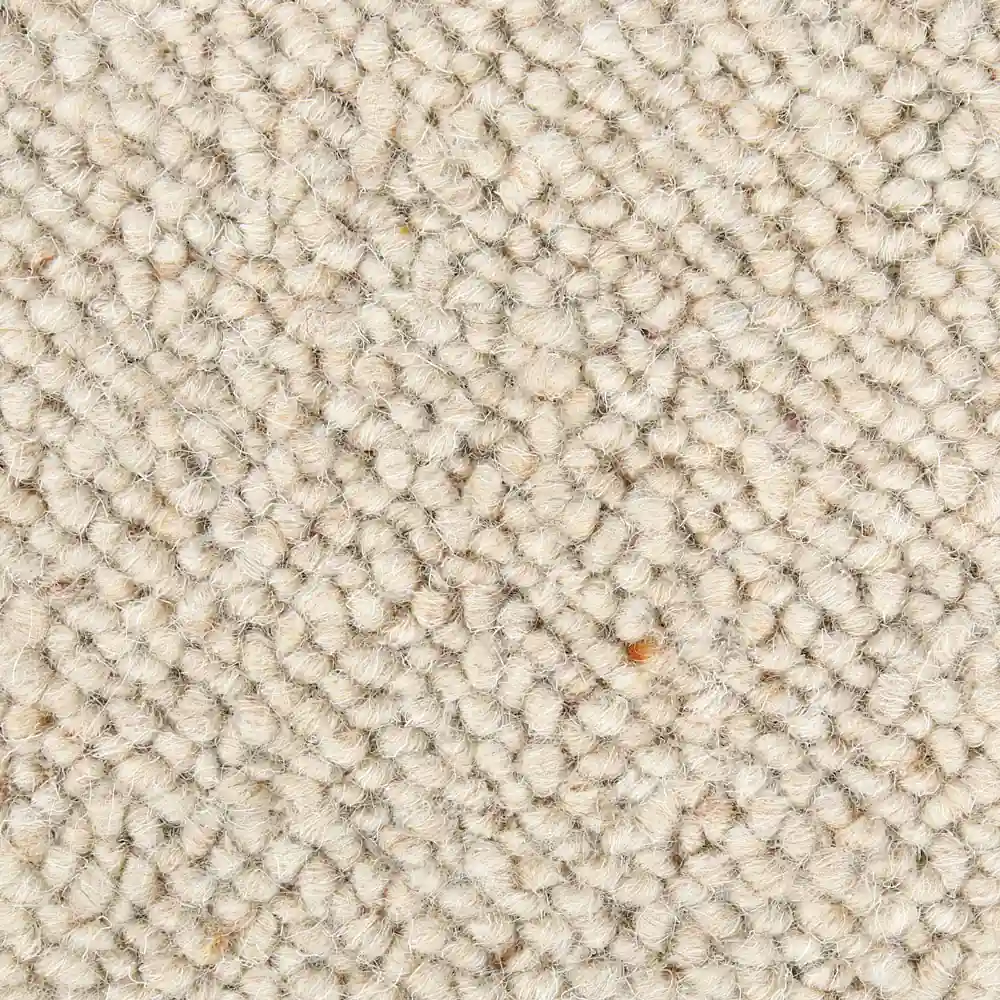 Wool-Kersaint Cobb Wool Pampas Berber Loop 88